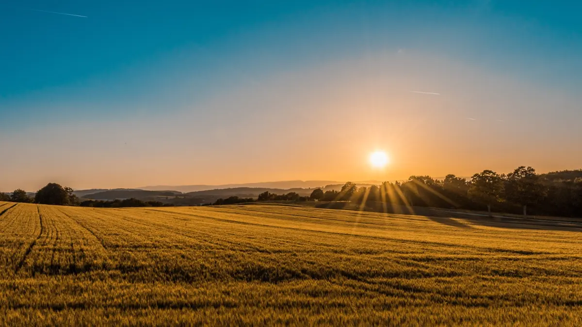 Energia solar: rural